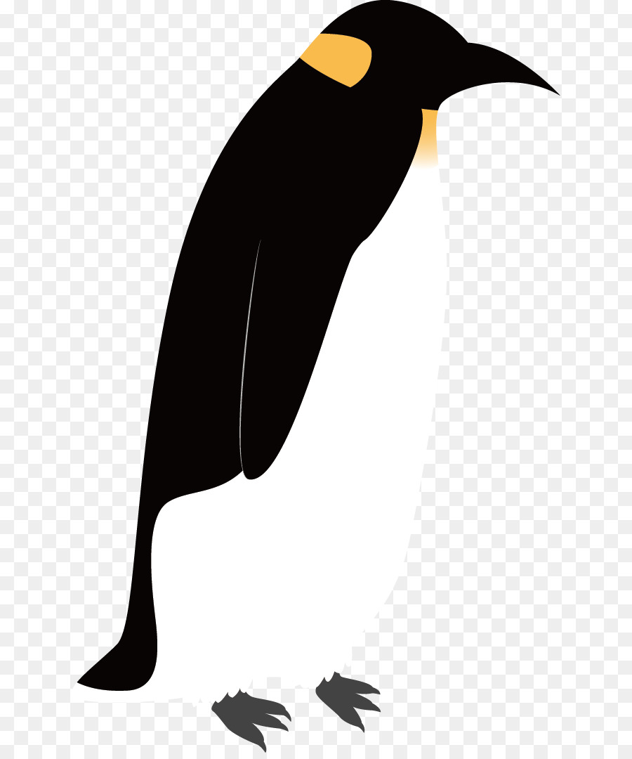 Penguin Cartoon png download - 696*1071 - Free Transparent Penguin png  Download. - CleanPNG / KissPNG