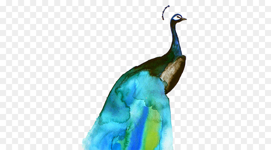 Uccello dipinto ad Acquerello, Carta, Illustrazione - Blu acquerello pavone