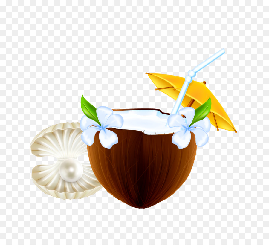 Kokosmilch Nata de coco - Kokos