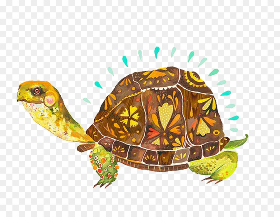 Papier Malerei Künstler Illustrator - Cartoon Schildkröte-Aquarell