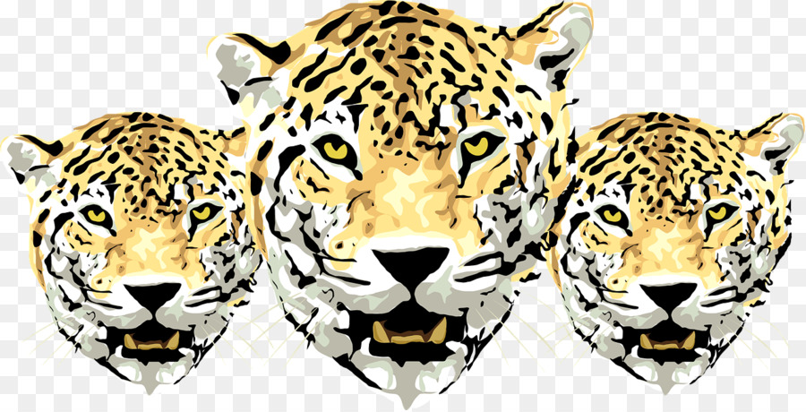 Giaguaro Amur leopardo Ghepardo Clip art - Tre tigri