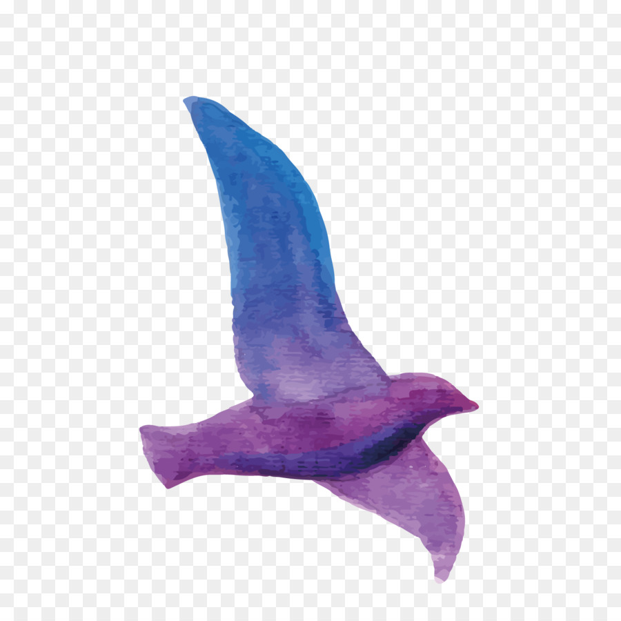 Felsen-Taube Vogel-Aquarell-Illustration - Vektor-Muster Fliegende Taube