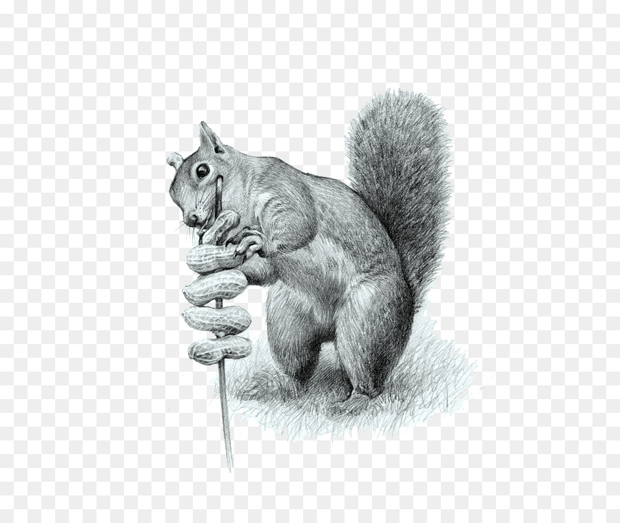 Katze Baum Eichhörnchen Zeichnung Computer-Datei - Eichhörnchen Essen Erdnüsse