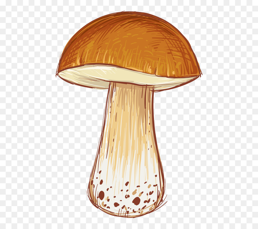 Cartoon Mushroom Illustration - Pilz
