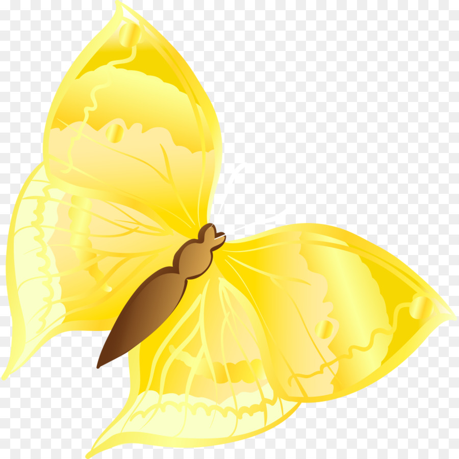 Cartoon-Grafik-design - Cartoon-golden butterfly