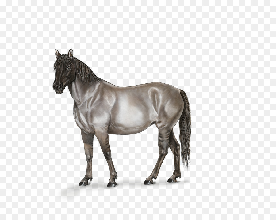 Ferghana Pferd Mustang Hengst-Mähne - Kreative hand-painted horse