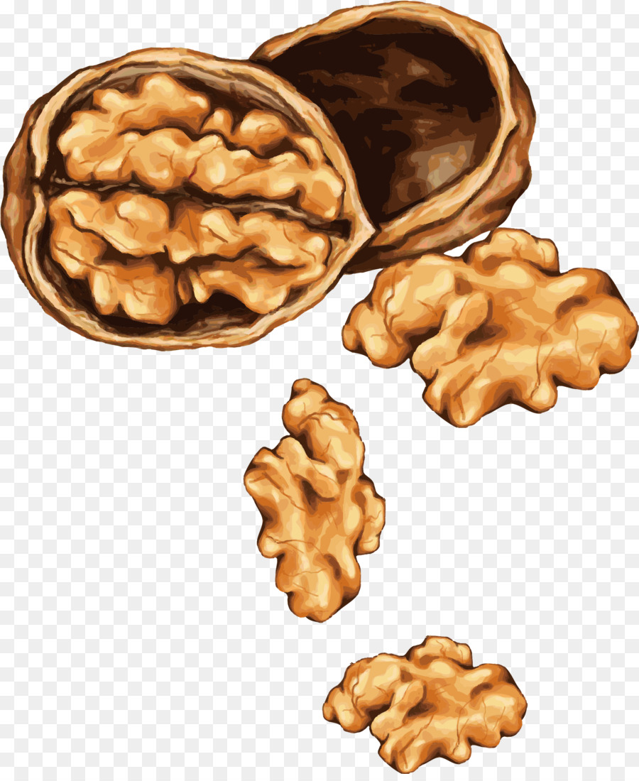 Cây dị ứng hạt Vẽ Hạnh nhân - Véc tơ sơn walnut