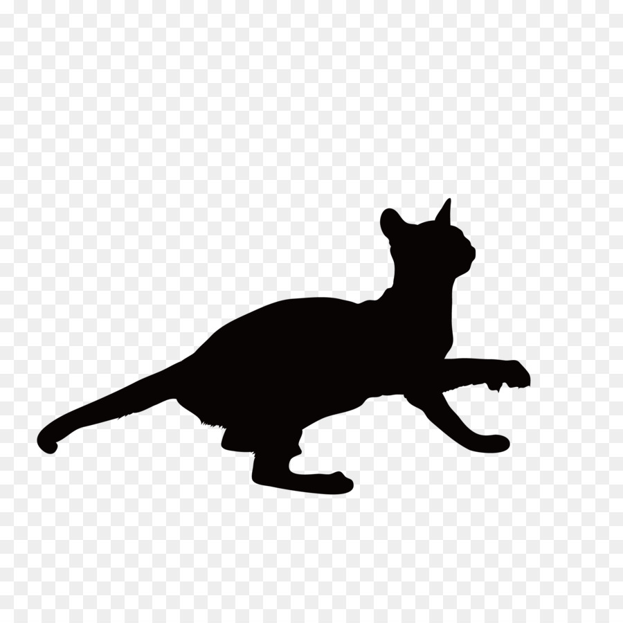 Schwarze Katze Kätzchen Schnurrhaare Rund um - Katze Silhouette