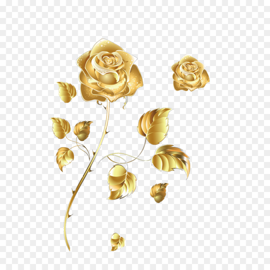 Strand rose Golden Rose Color - Goldene Rose