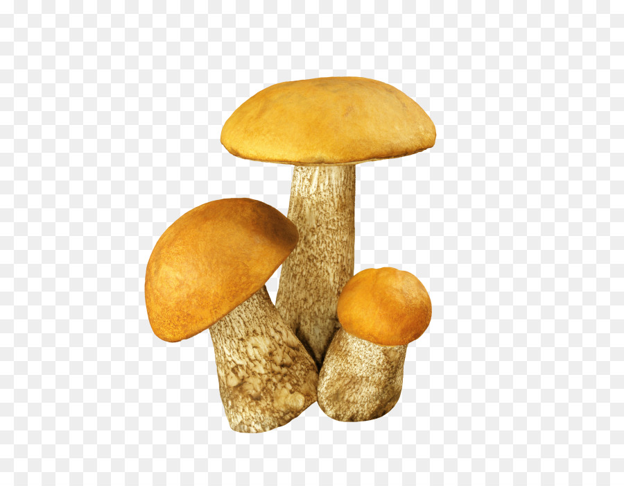Fungo Aspen fungo Commestibile, fungo Marrone cappuccio porcini Clip art - funghi