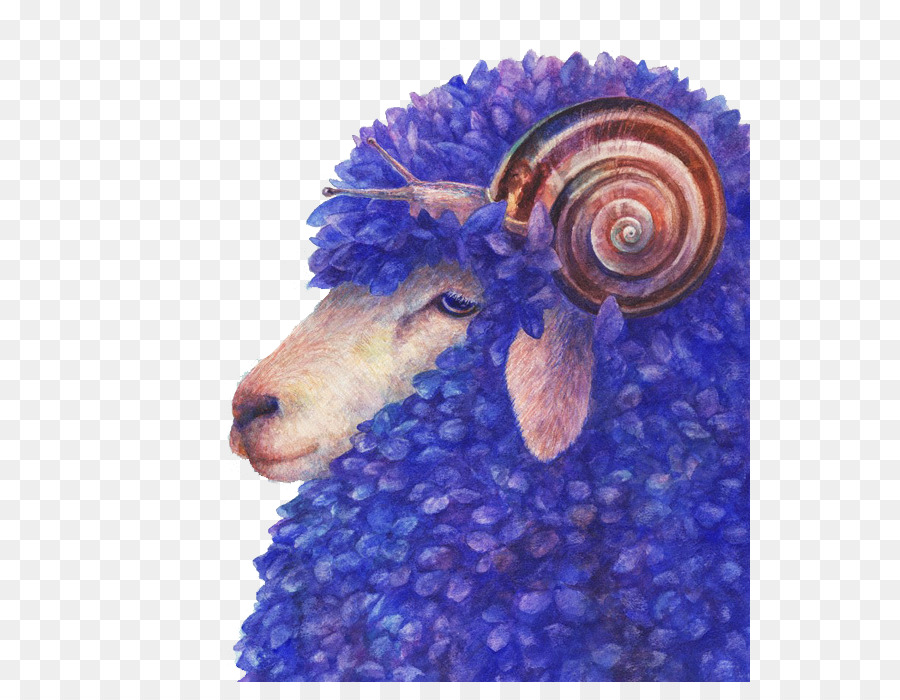 Essex cừu Nhiếp ảnh Nghệ thuật - màu xanh cừu