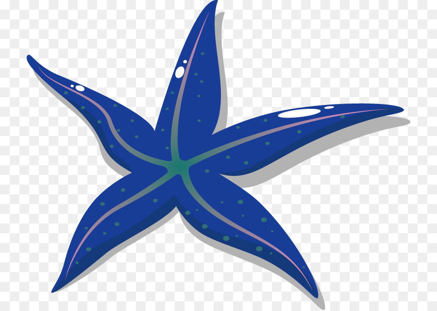 Starfish Disegno - starfish vettore materiale
