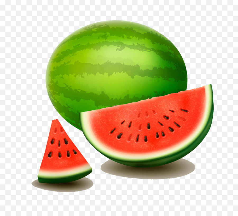 Citrullus lanatus-Zeichnung-Fotografie Wassermelone - Große Wassermelone illustrator