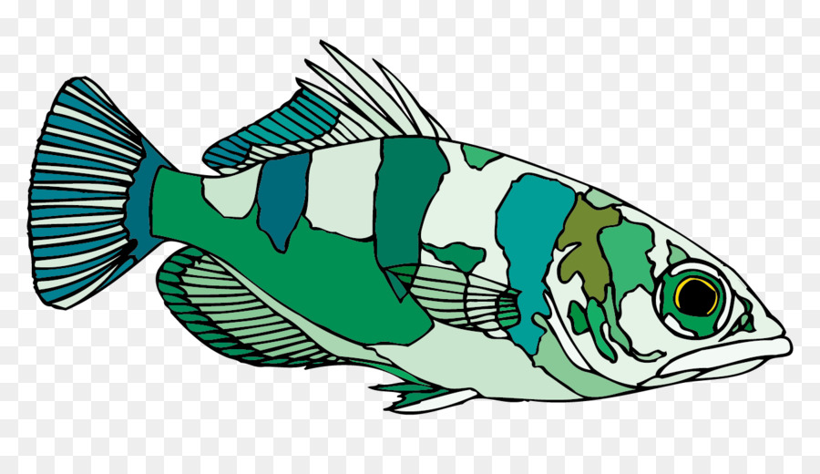 Cá măng rổ Clip nghệ thuật - Véc tơ sáng màu xanh lá cây và trắng cá kiểng