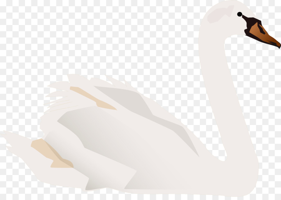 Collo D'Anatra Illustrazione - Vettore dipinto swan