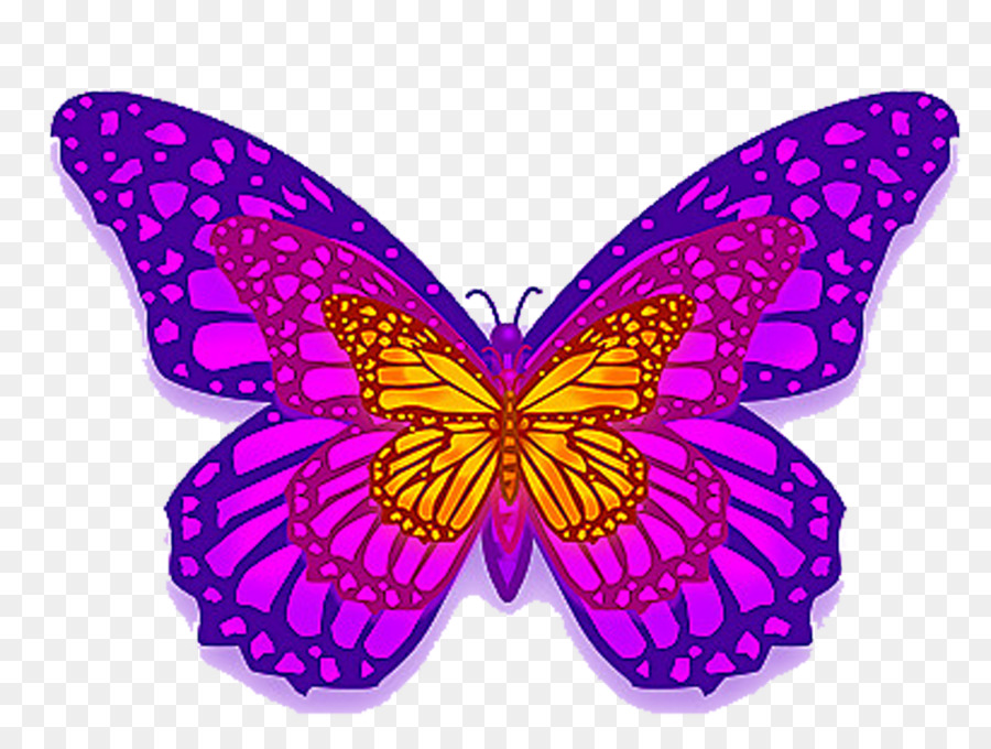 Vua bướm màu Tím - Bướm Màu Tím