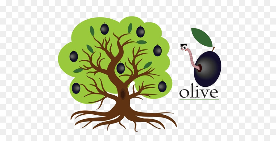 Olive Tree Drawing