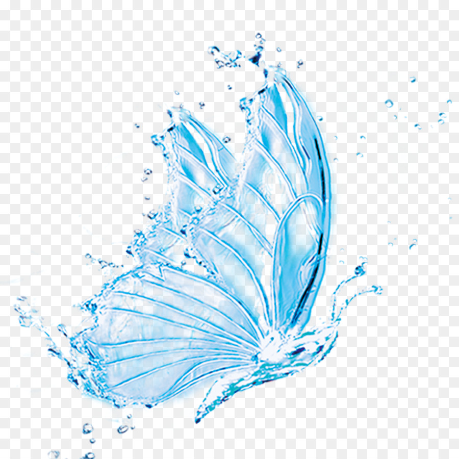 Farfalla Trasparenza e traslucenza - Acqua farfalla idee creative