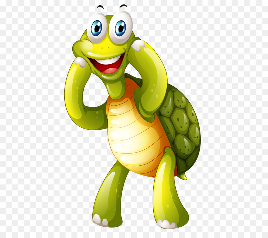 Turtle Drawing png download - 488*800 - Free Transparent Turtle png  Download. - CleanPNG / KissPNG