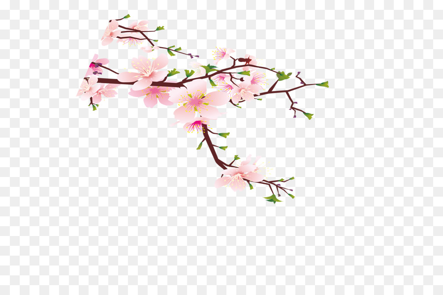 Wand-Vogel-Zimmer-Pfirsich Blume - Peach blossom