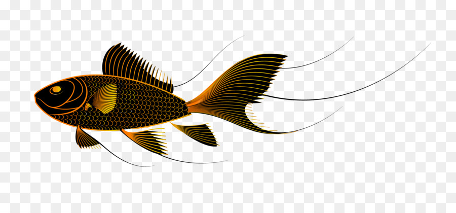 Pesce rosso Clip art - Carino nero pesce