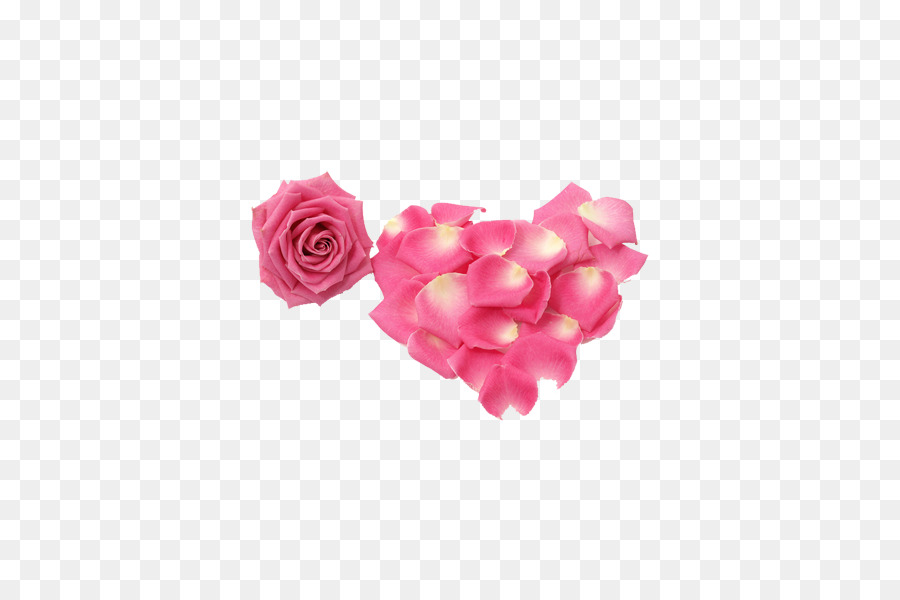 Rose Petal Flower - Rose