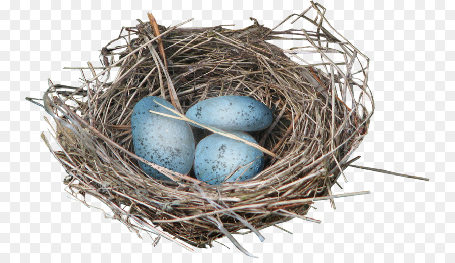 Vogel-Eier Vogelnest clipart - Lane nest ei