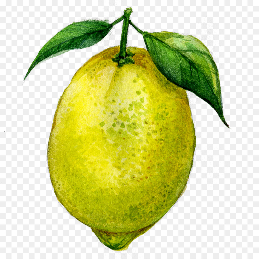 Saft Zitrone Obst-Zeichnung - Zitrone