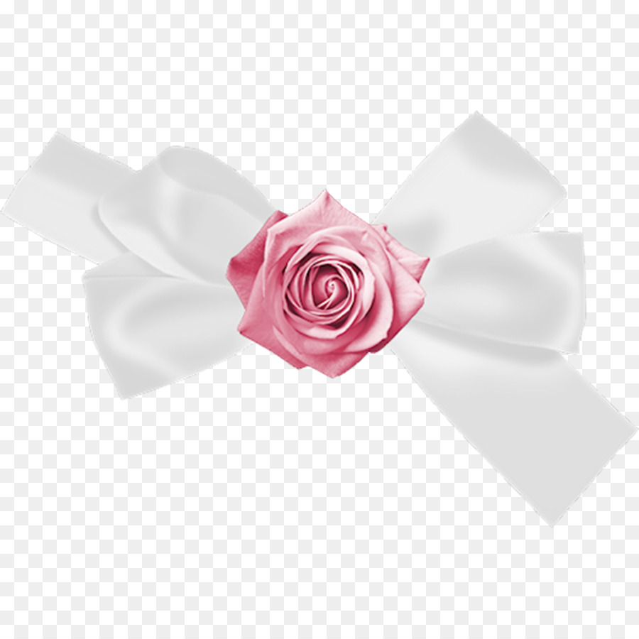 Bướm Vườn hoa hồng nút thắt Dây giày màu Trắng - trắng cung