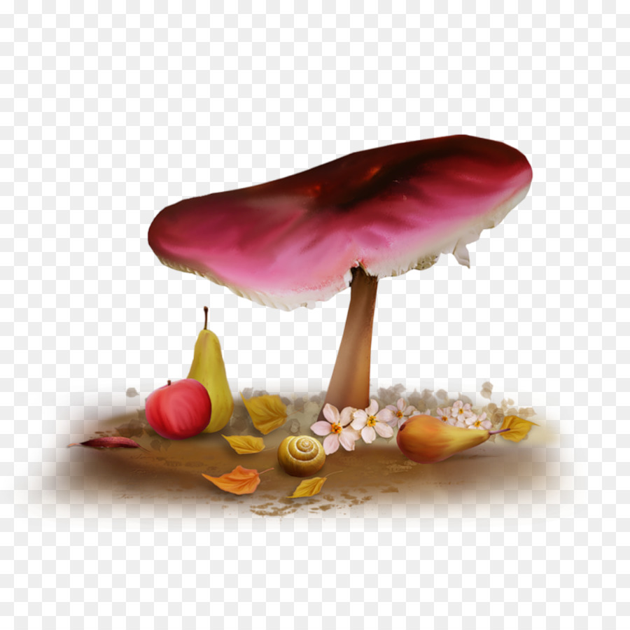 Notte Blog, Cielo, Carta Da Parati - Foresta di funghi