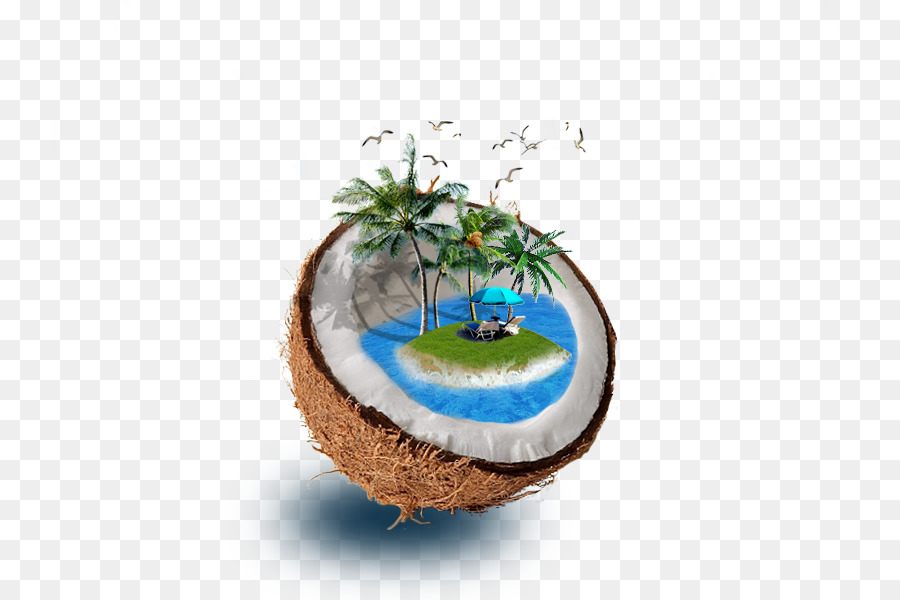 L'acqua di cocco Albero, Illustrazione - Cocco Figura Creativa