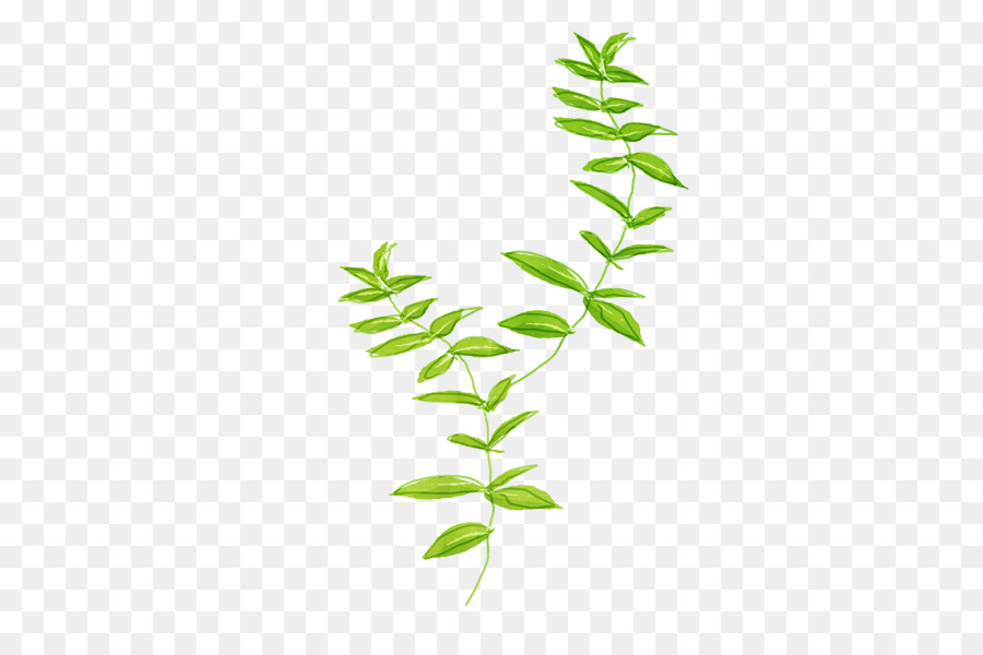 Modello verde - foglie verdi