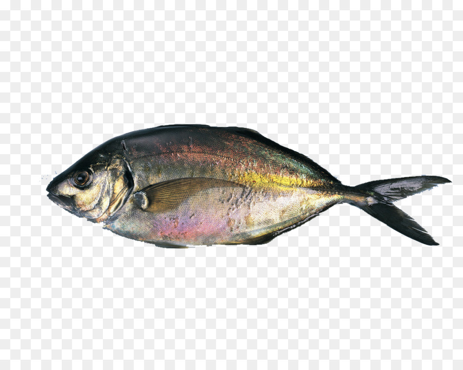 Sashimi di pesce Salato Alimentare - Un pesce