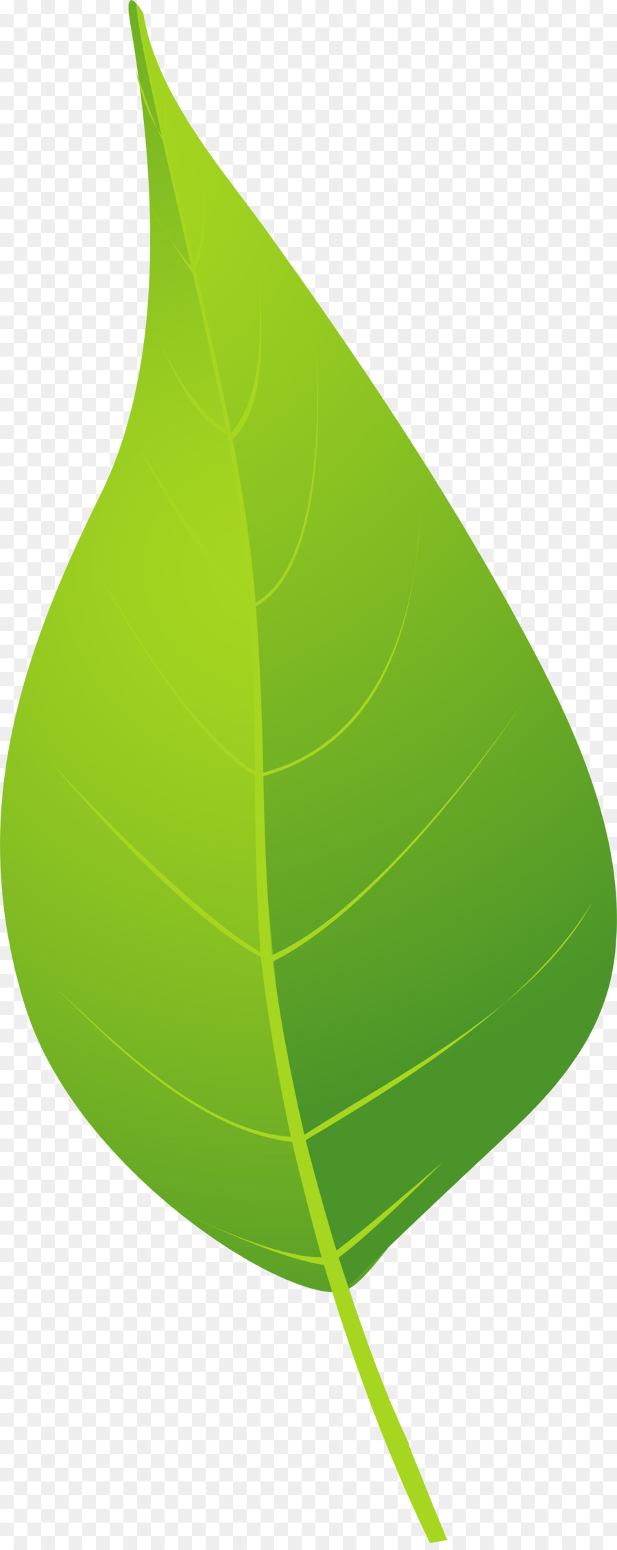 Google Images, Grün, Braun - Grüne und frische Blätter