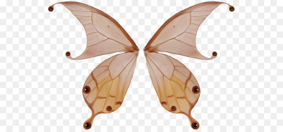 Ala Di Farfalla - Decorativo ali di farfalla