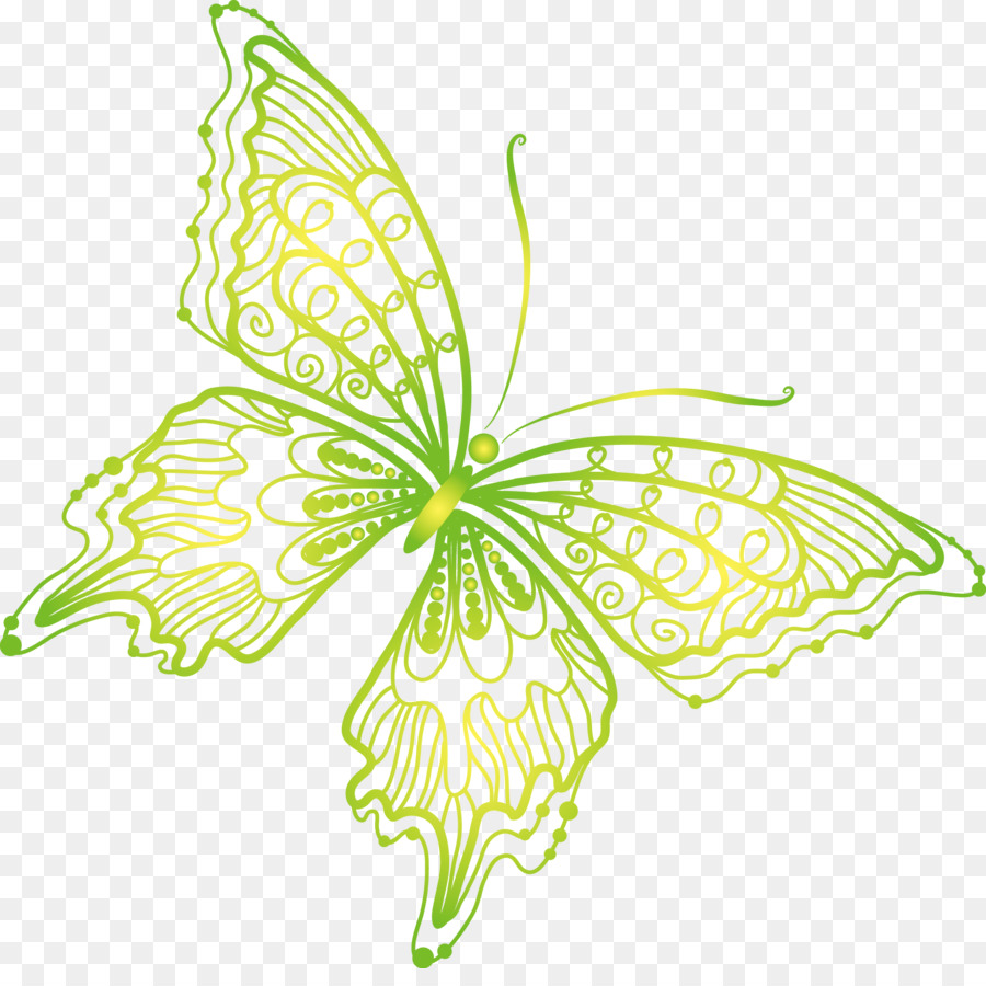Farfalla monarca - Farfalla blu di immagini vettoriali materiale