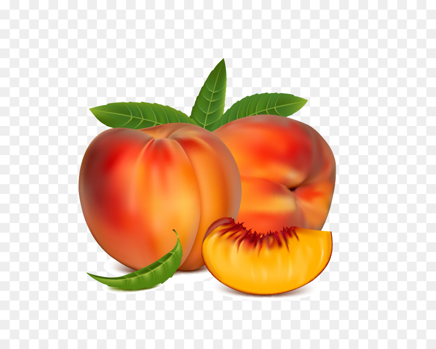 Nektarine Obst Kostenlose Inhalte Clip-art - peach