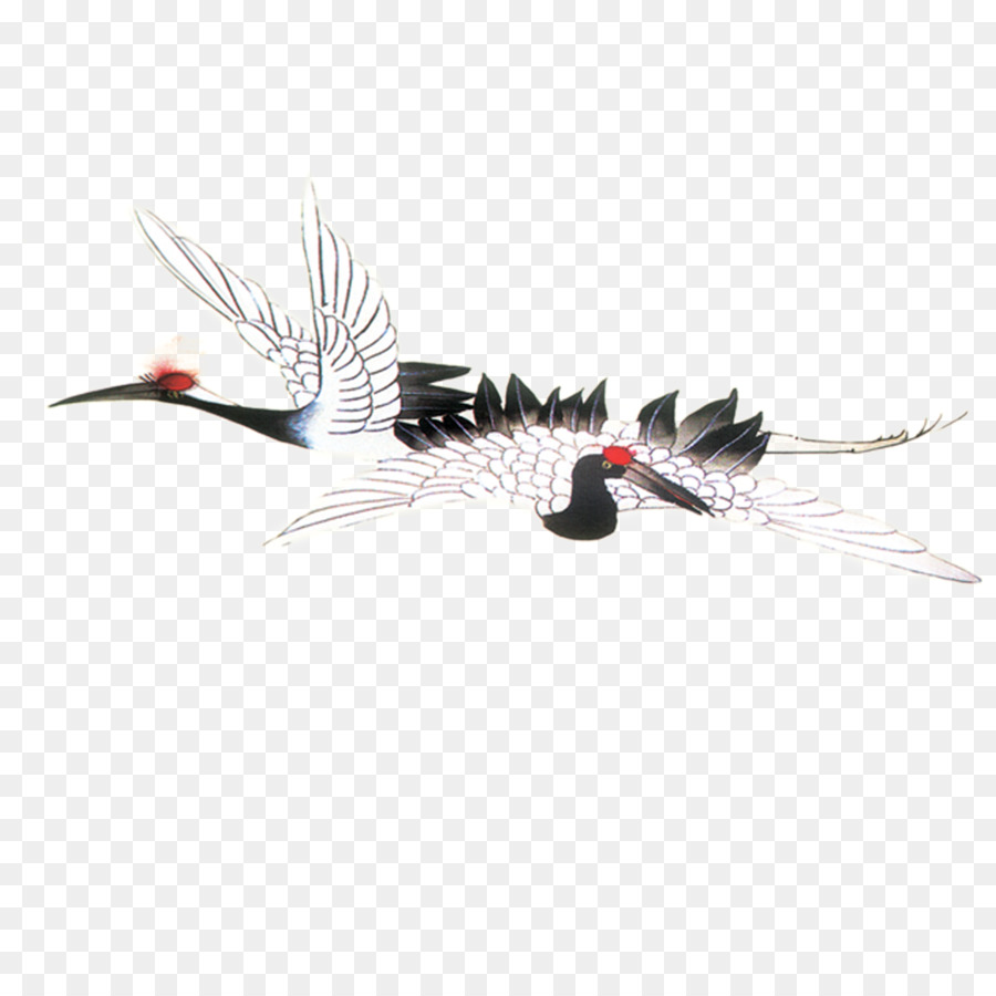 Red-crowned crane Download Vogel - Rot-gekrönter Kran
