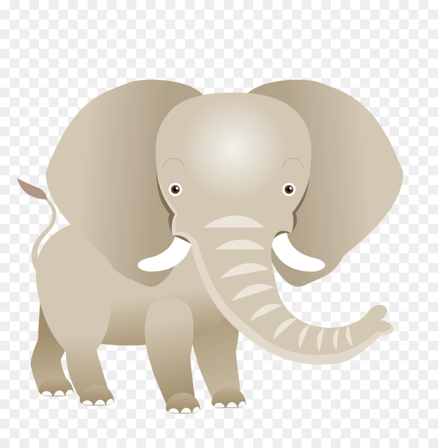 Elephant Background png download - 1500*1501 - Free Transparent African  Elephant png Download. - CleanPNG / KissPNG