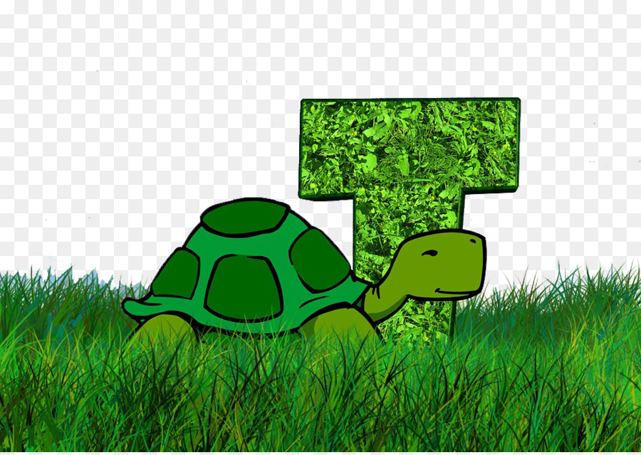 Rùa ABC Rùa - Chữ và rùa