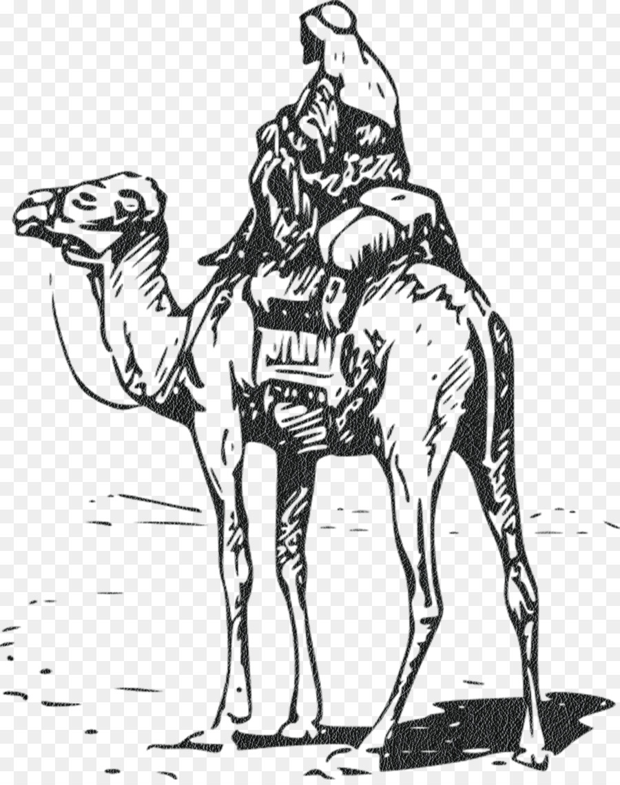 Il cammello battriano Scalable Vector Graphics Free Clip art - Dipinti a mano persone cammello