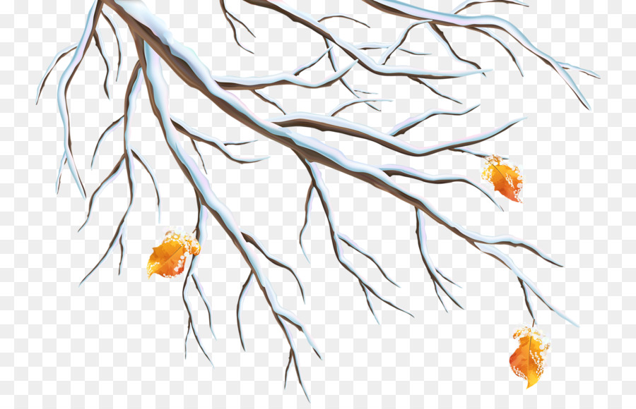 Mùa đông chi Nhánh Clip nghệ thuật - mùa đông cành cây