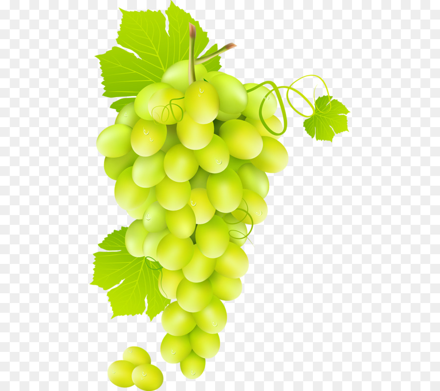 Wein-Saft-Weinrebe - Grüne Trauben