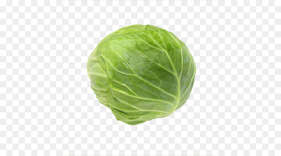 Cabbage roll Tonkatsu Essen Gemüse - Green cabbage