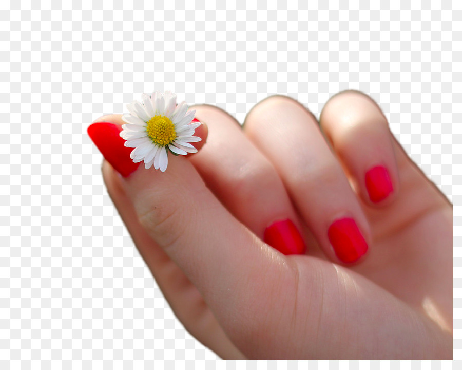 Sơn móng tay làm Móng tay nghệ thuật - Tay của hoa cúc nhỏ