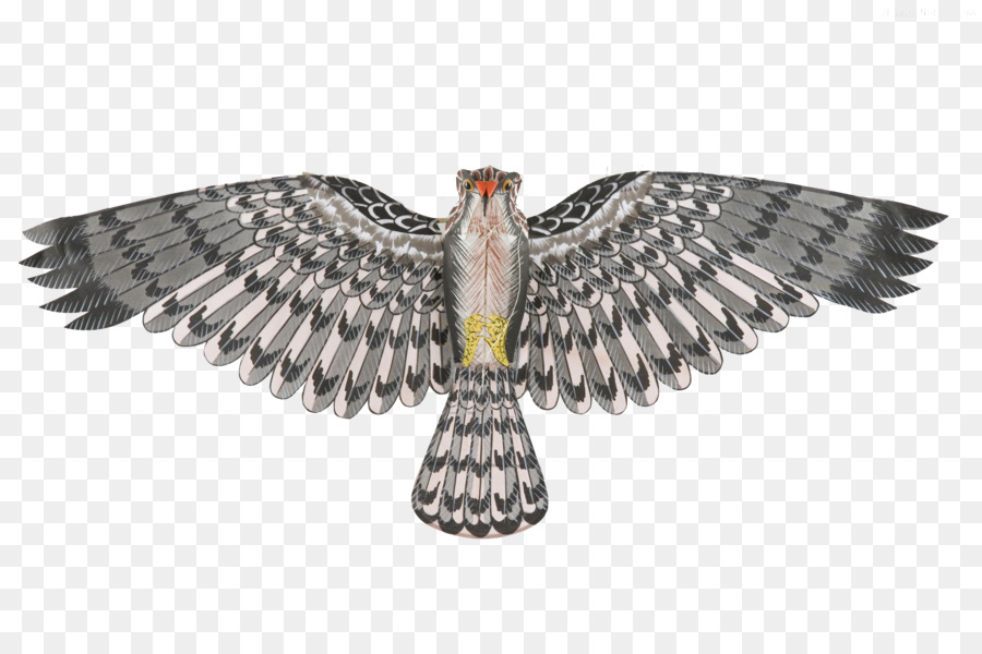 Adler Vogel Flug Eule Flügel - Handbemalte Eule-kite