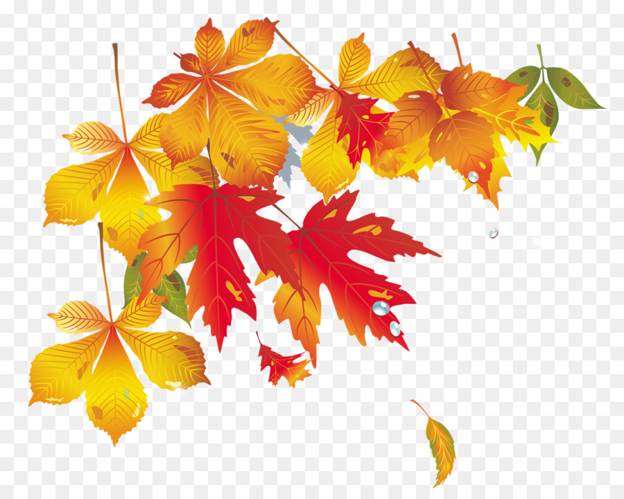 Ahorn Blatt Herbst - Maple Leaf