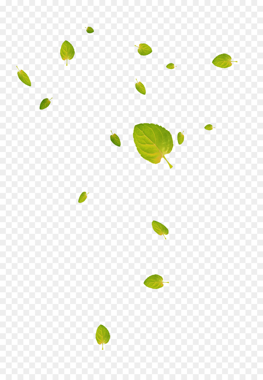 Leaf Google-Bilder-Laub-Download - Grüne und frische Blätter schwimmenden material