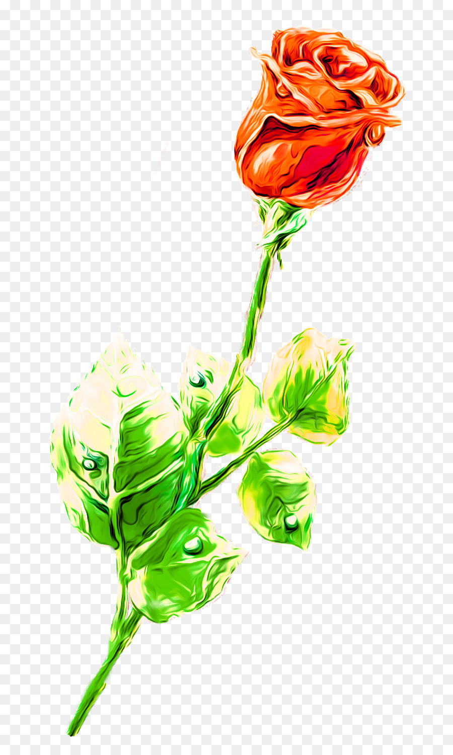Bouquet Of Flowers Drawing Png Download 800 1500 Free Transparent Beach Rose Png Download Cleanpng Kisspng Download a free preview or high quality adobe illustrator ai, eps, pdf and high resolution jpeg versions. bouquet of flowers drawing png download