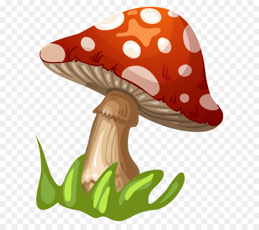 Pilz Mushroom Clip art - Gewachsen sind die Pilze